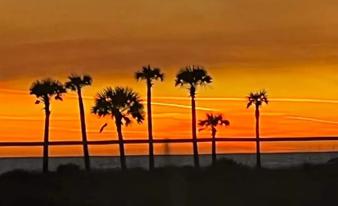 Shores Of Panama 314 - 1 Bdbunks, Sleeps 6, Same Level Parking, Free Fun! Condo Panama City Beach